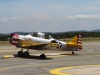 T6