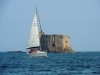 olivier_hoarau_baie-morlaix-chateau-du-taureau-courlis