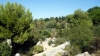 Jardin botanique