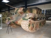 bergepanther