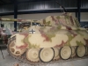 Panther