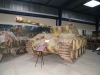 panther
