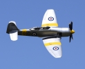 Hawker Sea Fury T.20 (WG655)