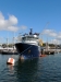 olivier_hoarau_brest2016_abeille