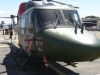 Lynx anglais