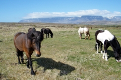 Islande