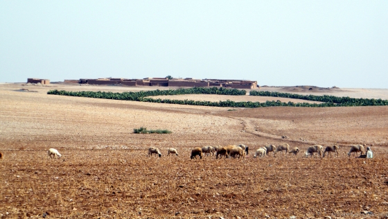 Le bled sur la route de Marrakech