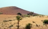 Désert sur la route de Marrakech