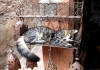 Repos du matou