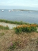 Bateaux au mouillage à Molène