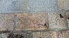 Pierre gravée sur le parvis de l\'abbaye
