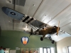 Piper cub