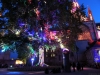 Illumination du platane devant la cathédrale Notre Dame de Bayeux