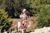 Aigle
