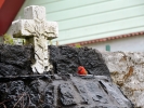 Cardinal qui prend un bain au cimetière d\'Hellbourg