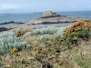 L\'île du Petit Bé
