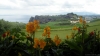 Sur la route de Capelas