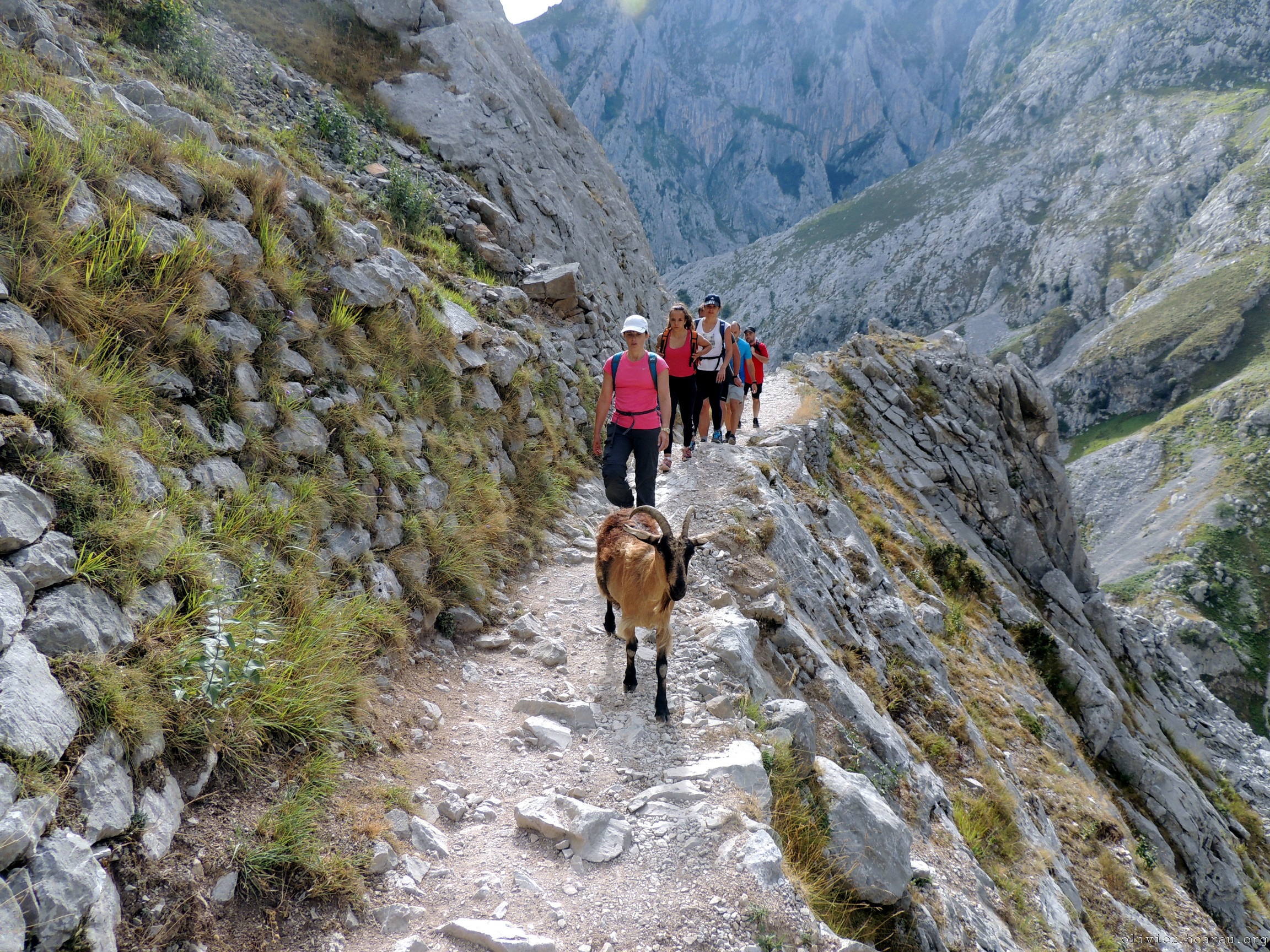 olivier_hoarau_senda-del-cares_dscn8468