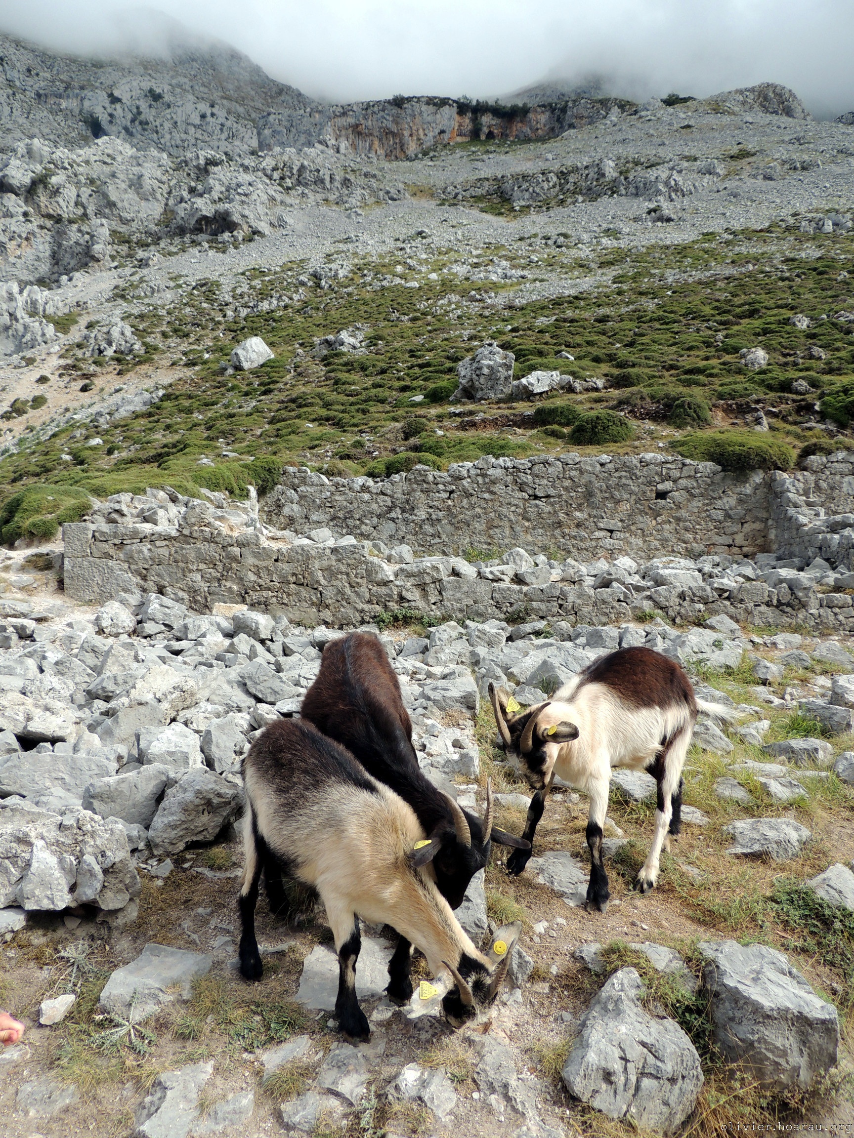 olivier_hoarau_senda-del-cares_dscn8475