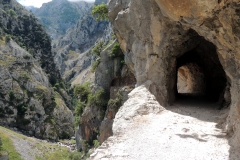 Senda del cares
