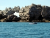 Le rocher au lion