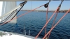 Direction les tas de pois