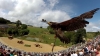 Aigle